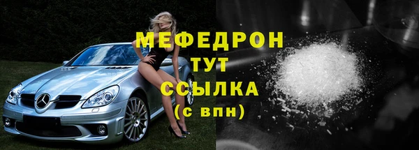 индика Вяземский