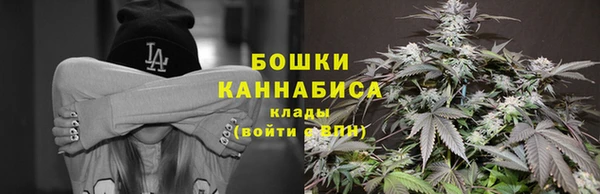 индика Вяземский