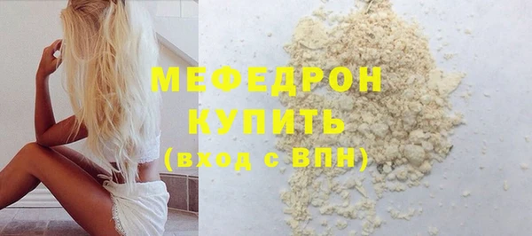 индика Вяземский