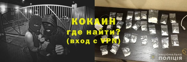 стаф Вязники