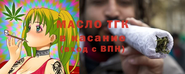 индика Вяземский