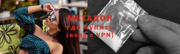 индика Вяземский