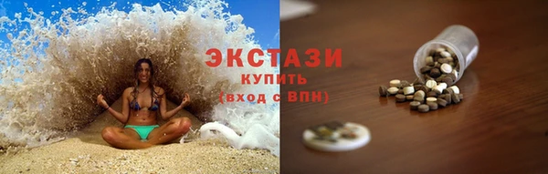 индика Вяземский