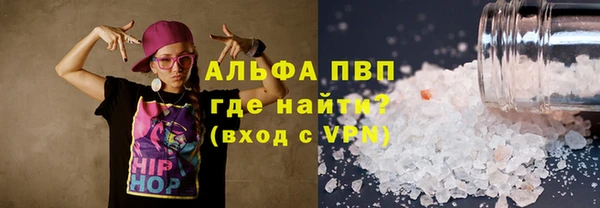 индика Вяземский