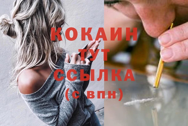 соль курить ск Горняк