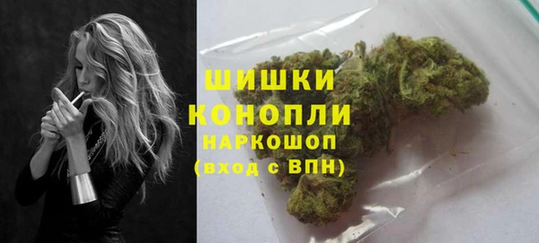 мдпв Горнозаводск