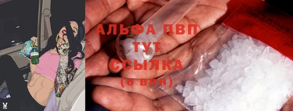 индика Вяземский