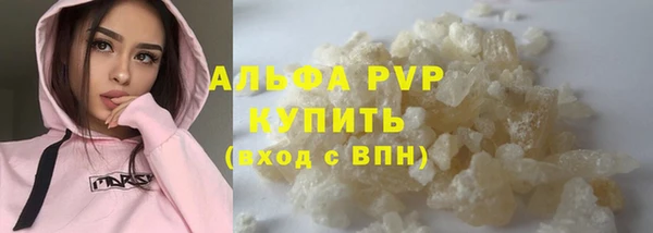 индика Вяземский