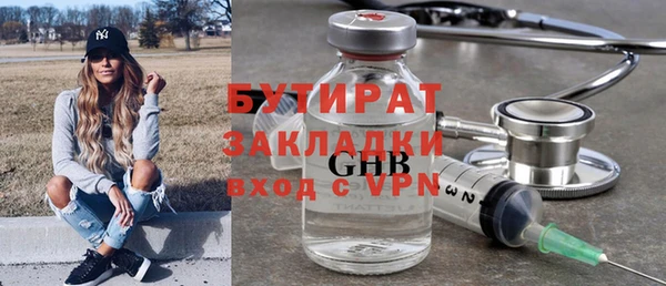 индика Вяземский