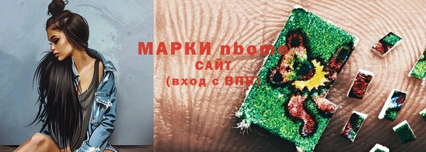 индика Вяземский