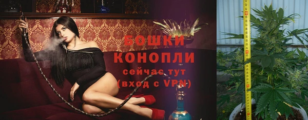 спиды Вязьма