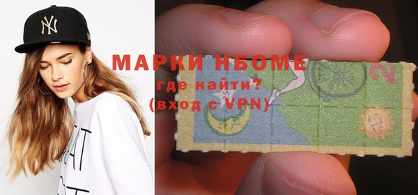 мдпв Горнозаводск