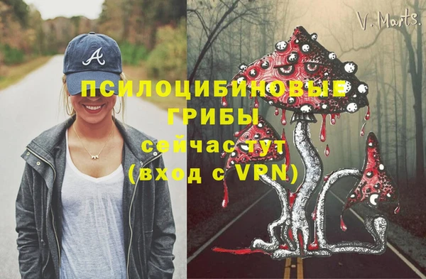 спиды Вязьма