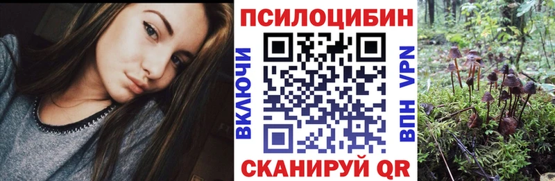Псилоцибиновые грибы мухоморы  Купить закладки  Богородск 